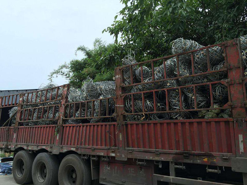 ��܇����߅�·��o�W��ⁿ˾W�Ѱl؛